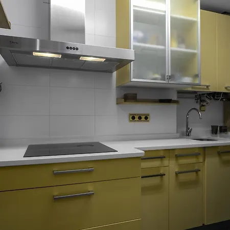 Izpizua Aparment 公寓 圣塞瓦斯蒂安