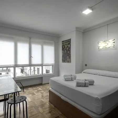 Izpizua Aparment 圣塞瓦斯蒂安